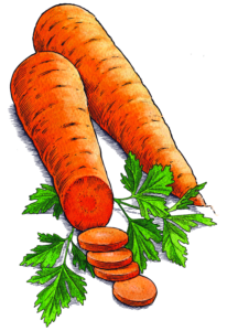 Carrots_Parsley